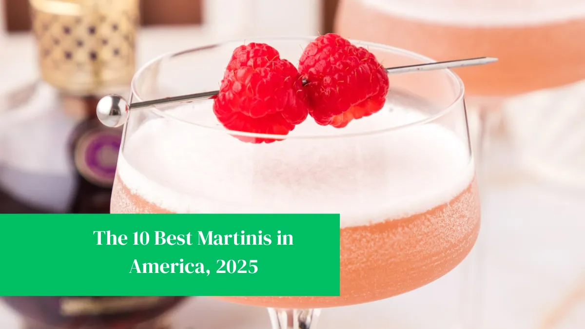 The 10 Best Martinis in America, 2025